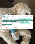 Pet Odor Eliminator Spray