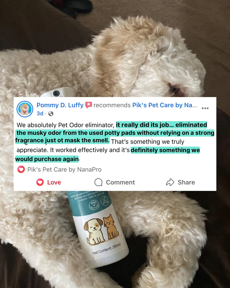 Pet Odor Eliminator Spray